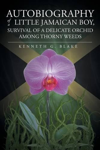 Cover image for Autobiography of a Little Jamaican Boy, Survival of a Delicate Orchid Among Thorny Weeds