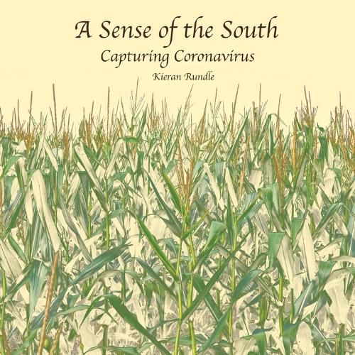 Cover image for A Sense of the South