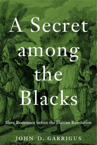 Cover image for A Secret among the Blacks