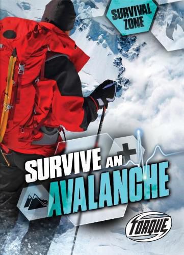 Cover image for Survive an Avalanche