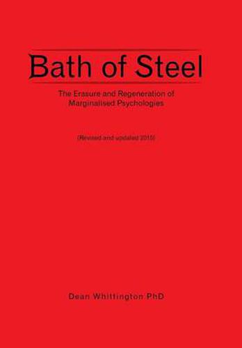 Cover image for Bath of Steel