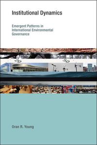 Cover image for Institutional Dynamics: Emergent Patterns in International Environmental Governance