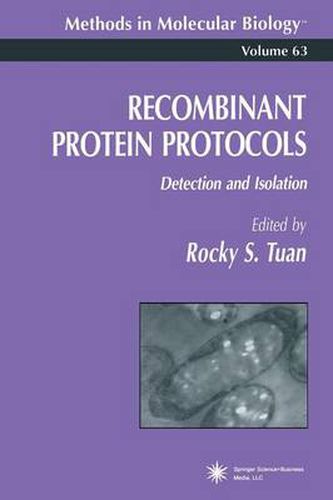 Cover image for Recombinant Protein Protocols: Detection and Isolation