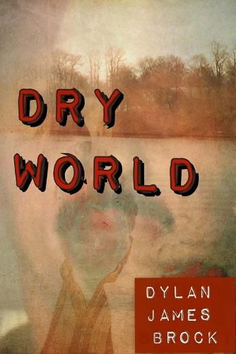 Cover image for Dry World