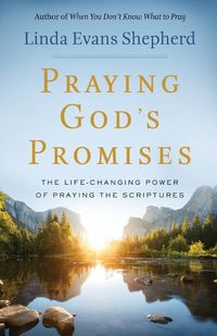 Cover image for Praying God"s Promises - The Life-Changing Power of Praying the Scriptures