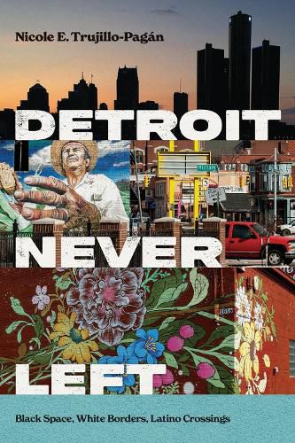 Cover image for Detroit Never Left
