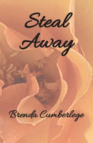 Cover image for Steal Away