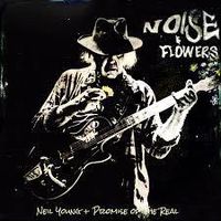 Cover image for Noise And Flowers