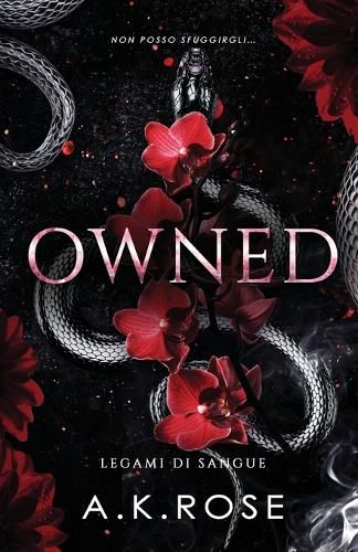 Cover image for Owned