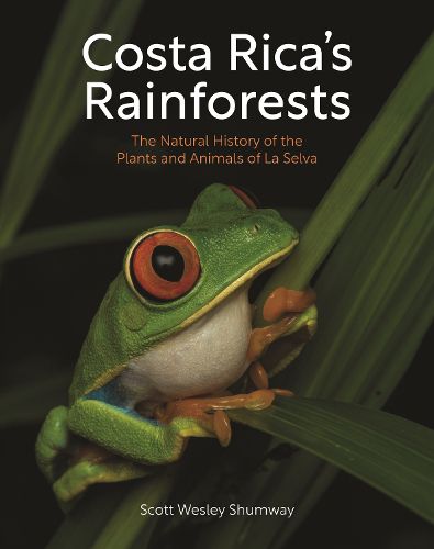 Cover image for Costa Rica's Rainforests