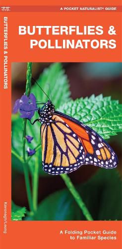 Butterflies & Pollinators: A Folding Pocket Guide to Familiar Species