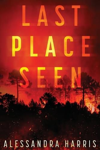 Cover image for Last Place Seen