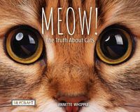 Cover image for Meow! the Truth about Cats