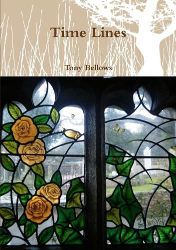 Cover image for Time Lines