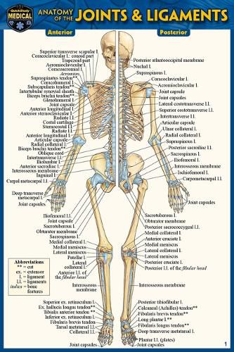 Cover image for Anatomy of the Joints & Ligaments (Pocket-Sized Edition - 4x6 Inches)