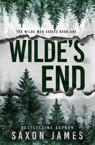 Cover image for Wilde's End