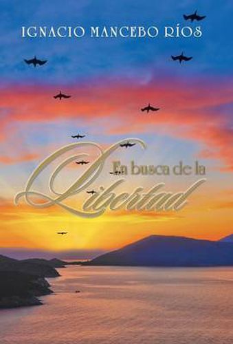 Cover image for En Busca de La Libertad