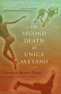 Cover image for The Second Death of Unica Aveyano