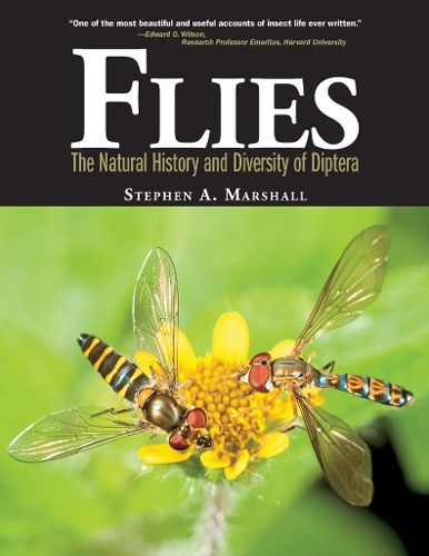 Cover image for Flies: The Natural History and Diversity of Diptera