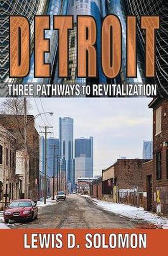 Cover image for Detroit: Three Pathways to Revitalization