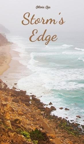 Cover image for Storm's Edge