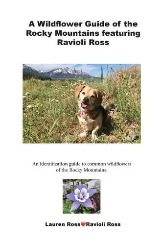 Cover image for A Wildflower Guide of the Rocky Mountains featuring Ravioli Ross: An identification guide to common wildflowers of the Rocky Mountains.