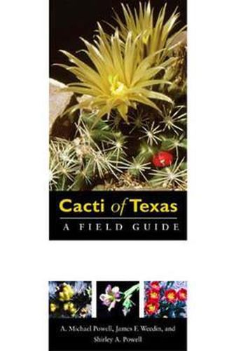 Cover image for Cacti of Texas: A Field Guide, with Emphasis on the Trans-Pecos Species