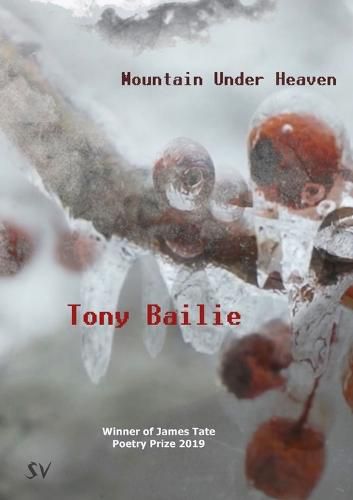 Cover image for Mountain Under Heaven