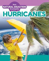 Cover image for Hurricanes