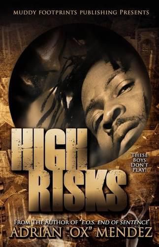 Cover image for High Risks