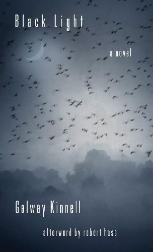 Cover image for Black Light: A Novel