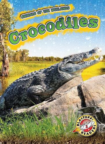 Cover image for Crocodiles