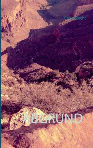 Cover image for Abgrund