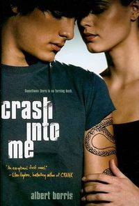 Cover image for Crash into Me