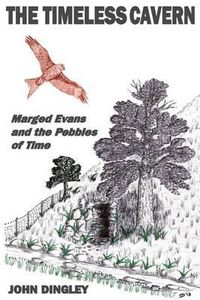 Cover image for The Timeless Cavern: Marged Evans and the Pebbles of Time