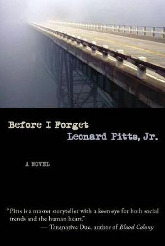 Cover image for Before I Forget