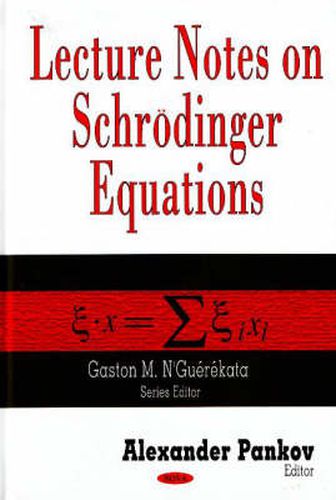 Cover image for Lecture Notes on Schroedinger Equations