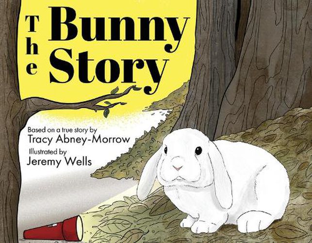 Cover image for The Bunny Story