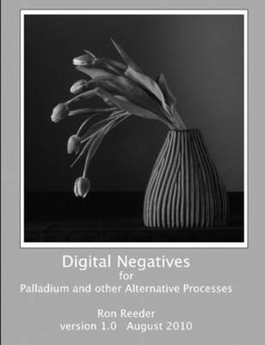 Cover image for Digital Negatives for Palladium and Other Alternative Processes