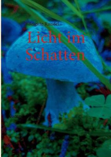 Cover image for Licht im Schatten: Kurzgeschichten