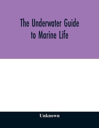 Cover image for The underwater guide to marine life