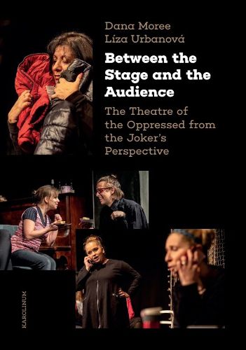 Cover image for Between the Stage and the Audience
