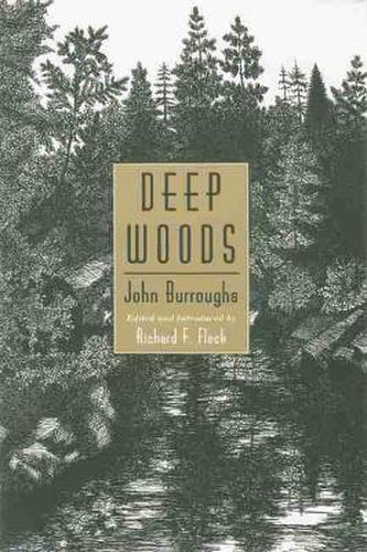 Cover image for Deep Woods