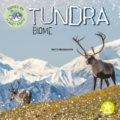 Cover image for Tundra Biome