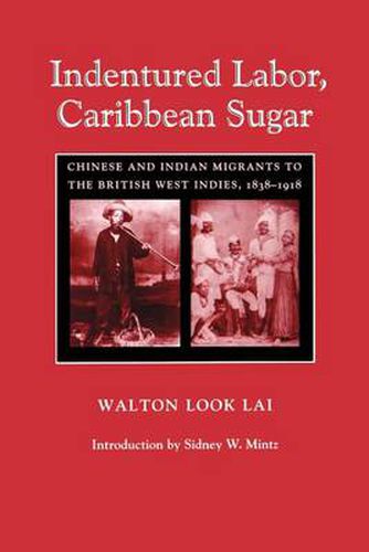 Cover image for Indentured Labor, Caribbean Sugar: Chinese and Indian Migrants to the British West Indies, 1838-1918