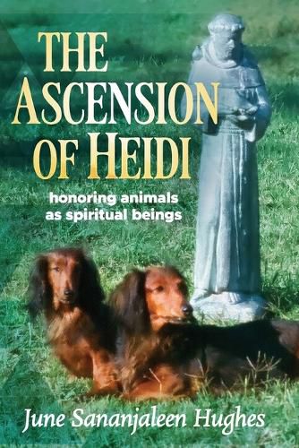 Cover image for The Ascension of Heidi
