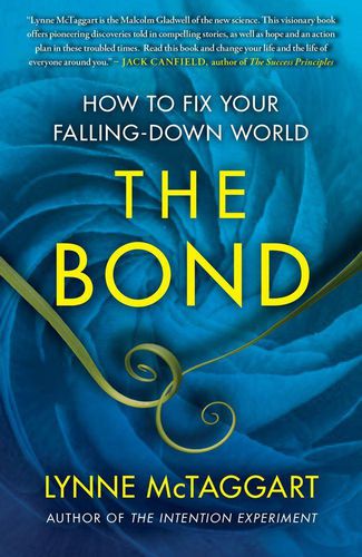 Cover image for The Bond: How to Fix Your Falling-Down World