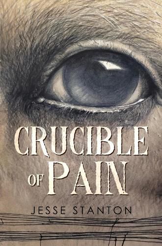 Cover image for Crucible of Pain