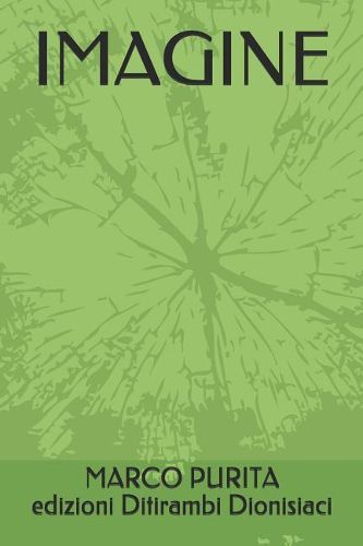 Cover image for Imagine