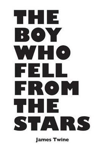 Cover image for The Boy Who Fell From the Stars